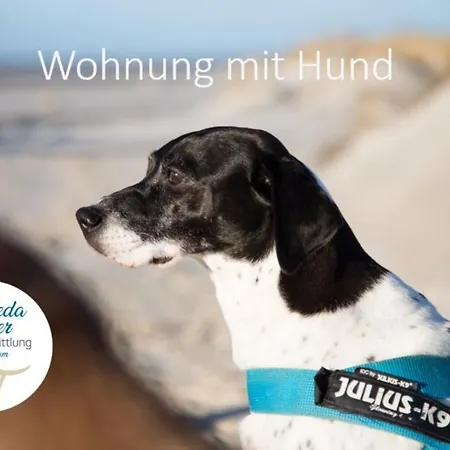 Apartamento Strandlust 21a Wittdün